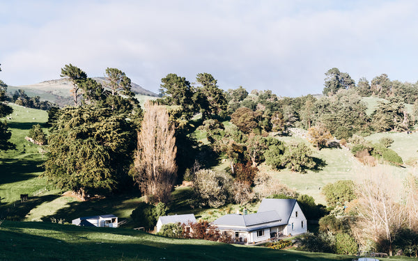 Home away from Home | Accrington Farmhouse, Aotearoa / NZ