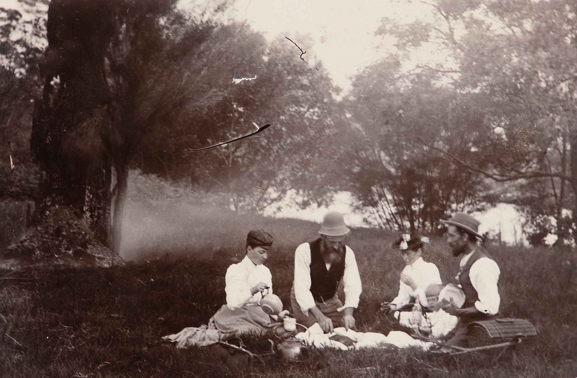 A brief (political) history of Australian picnics – Southern Wild Co